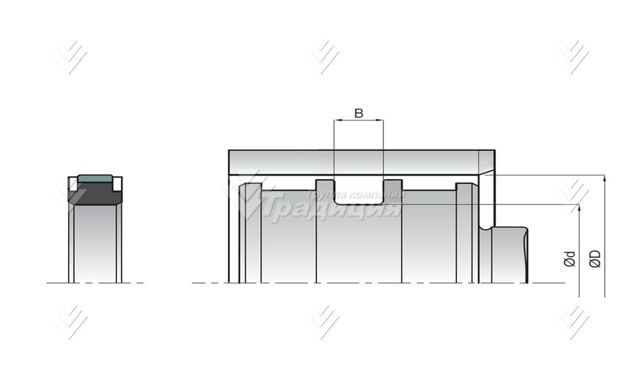 Уплотнение поршня SPGW 055 (055x041x9) картинка 623566