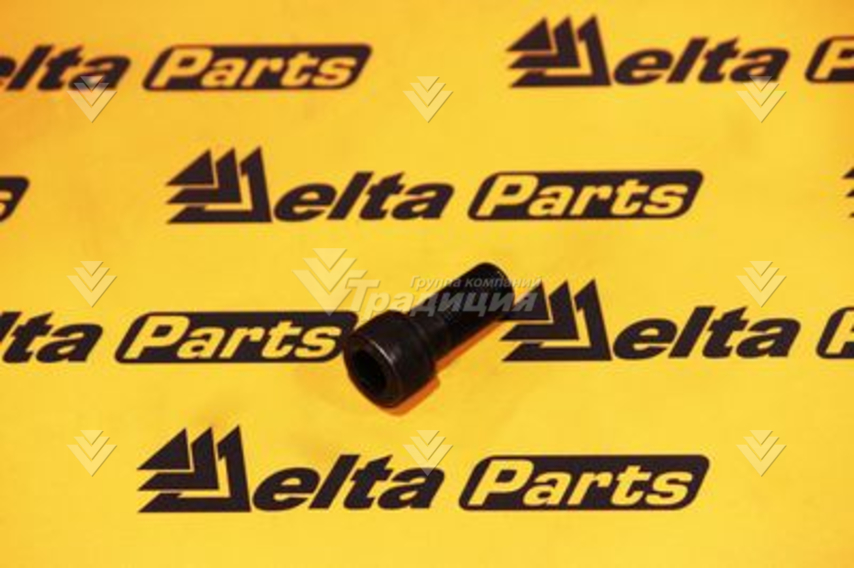 Винт крышки аккумулятора Delta F-20 HEX. SOCKET BOLT M18х1.5х45 DF20C-0100 картинка