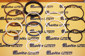 Ремкомплект LZ007310 для гидроцилиндра Case