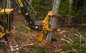 Валочно-пакетирующая машина Delta FFD-35