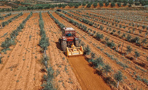 Delta farmland-3 -1800