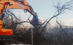 Impulse F4 1600 Standard F