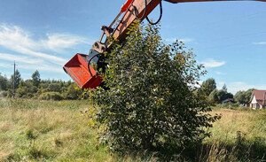 Impulse F4 1600 Standard F